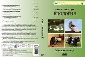 Домашние птицы (8 сюжетов, 22 мин), DVD-диск