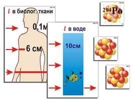 Модель-аппликация Явление радиоактивности (ламинированная)